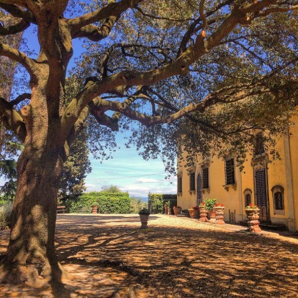 Stunning Tuscan villa where our private cooking class will take place.