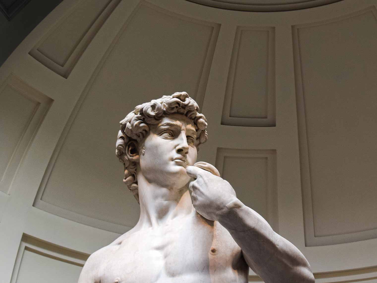 michelangelo's david on a private museum tour in Florence.