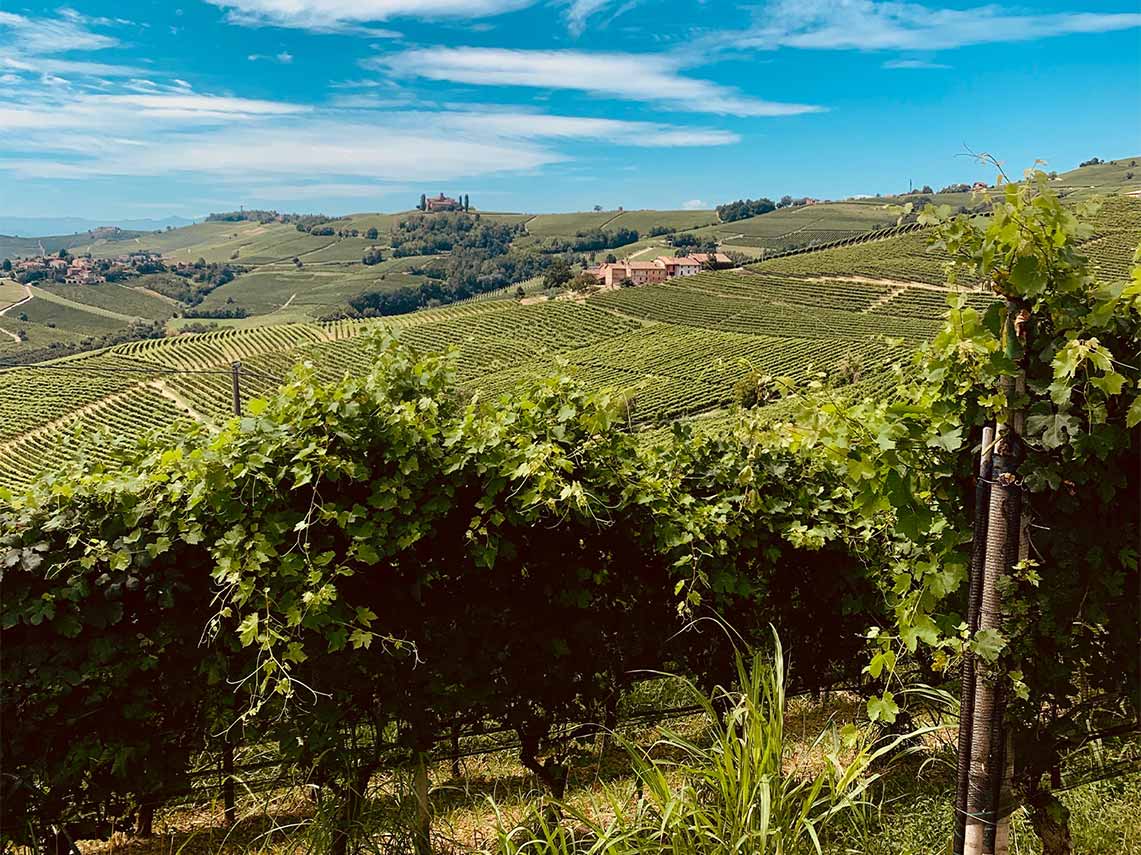 Piedmont, Barolo, Wine, Vineyards, Italy