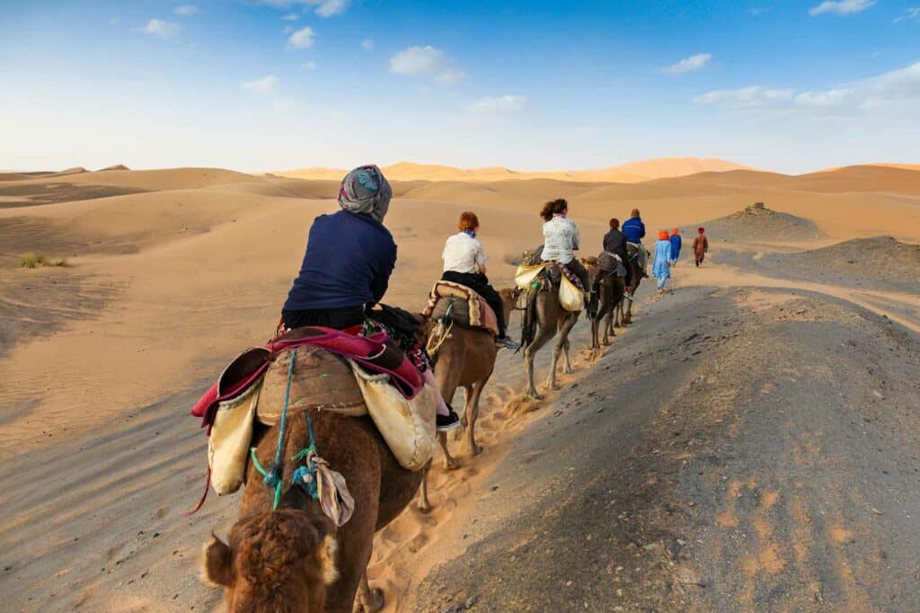 camel caravan in the desert