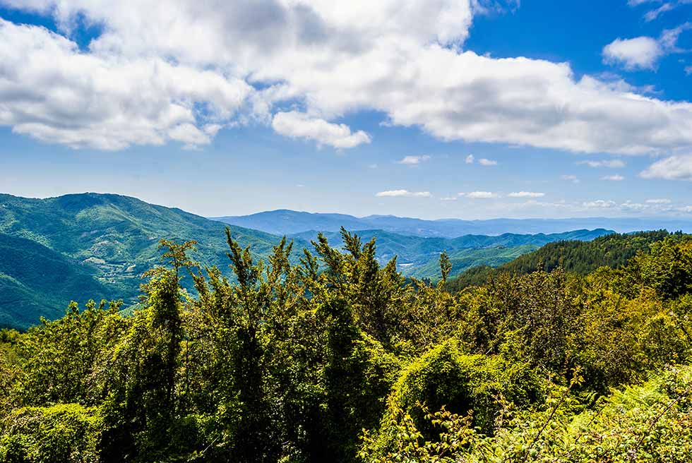 Landscape around San Benedetto in Alpe, Italy