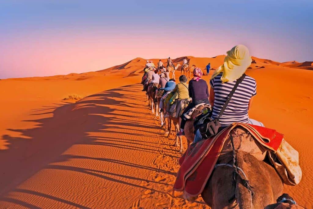 Camel caravan going through the sand dunes in the Sahara Desert, Morocco