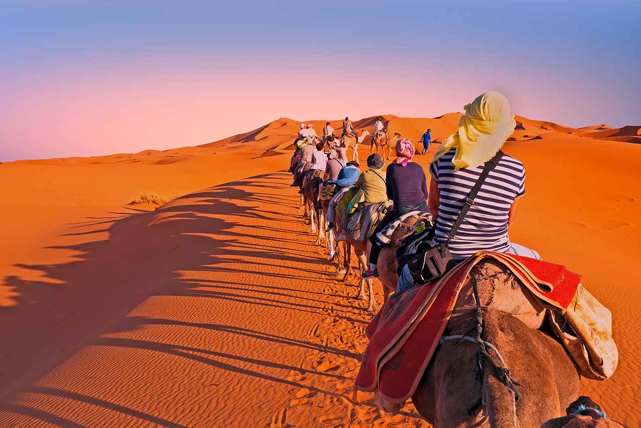 Camel caravan going through the sand dunes in the Sahara Desert, Morocco