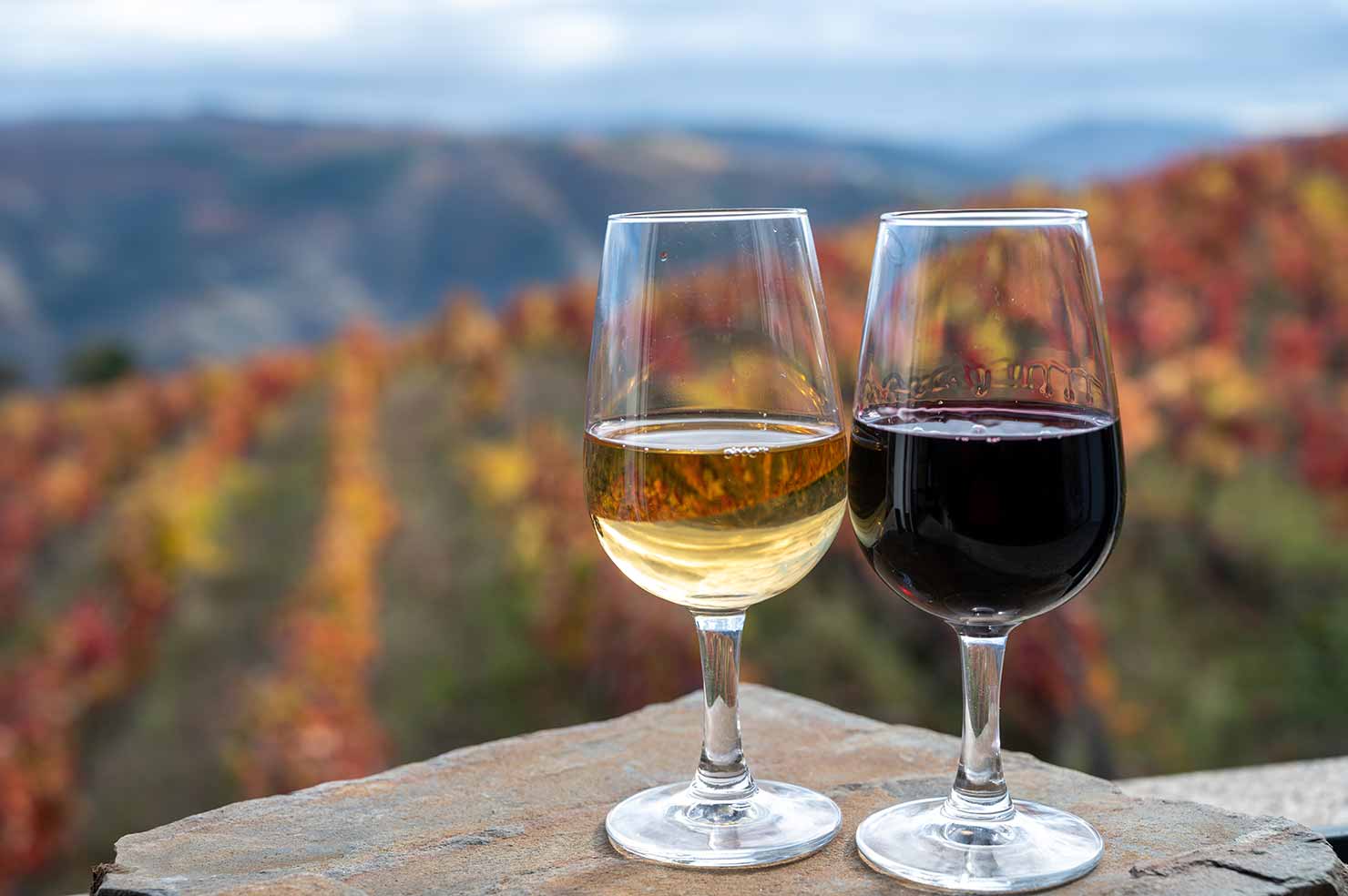 Douro Valley, Portugal