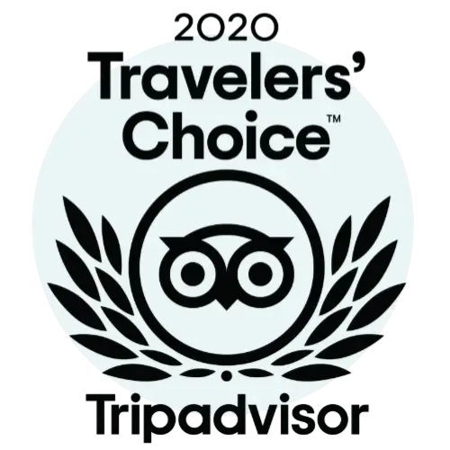 2020 Travelers' Choice award logo by TripAdvisor featuring an owl symbol and laurel wreath design