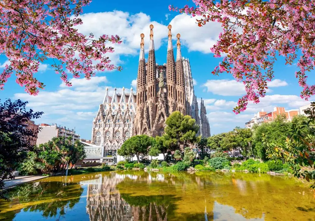 Scenic view of Sagrada Familia in Barcelona surrounded by lush greenery and framed by blooming pink cherry blossoms under a clear blue sky.