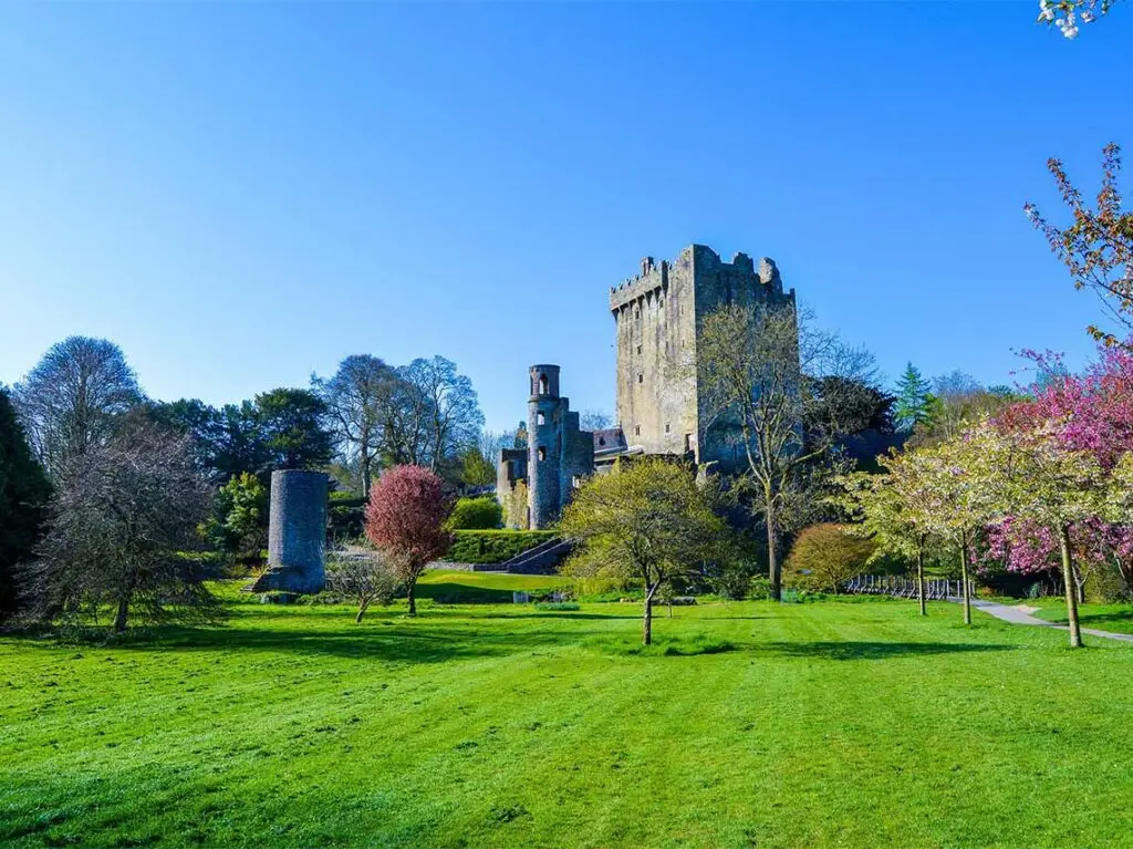 View of Blarney Castle surrounded by lush gardens and blooming trees in Ireland, a famous Irish tourist attraction known for the Blarney Stone.