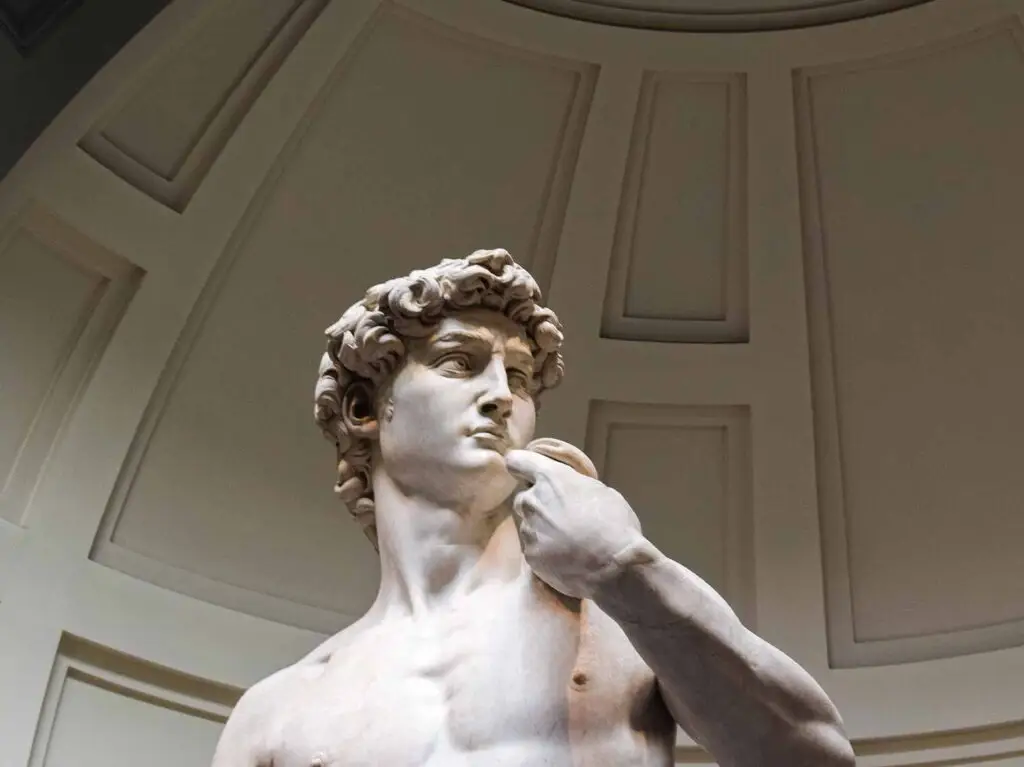 Michelangelo's David statue, intricately sculpted showcasing detailed facial expression and curly hair, prominently on display at the Galleria dell'Accademia in Florence, a highlight of Private Guided Tour of Florence Museums.