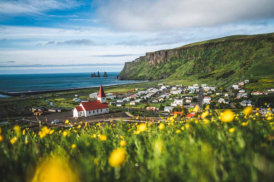 Scenic view of Vik village in Iceland highlighting the iconic red-roofed church, lush green cliffs, and distant basalt sea stacks visible from a vibrant, flower-dotted meadow.